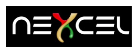 Nexcel Logo 285x110